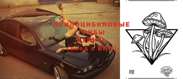 spice Сосновка