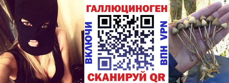 Галлюциногенные грибы ЛСД  Купить закладки  Холм 